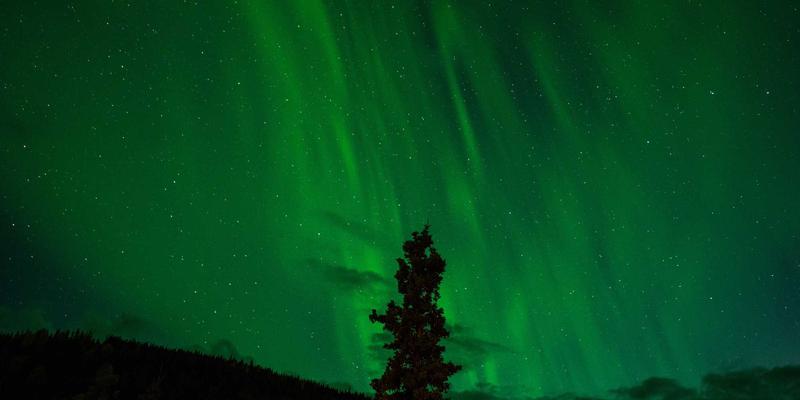 从振动到价值:工业设备预测性维护的传感器选型与数据采集实战指南