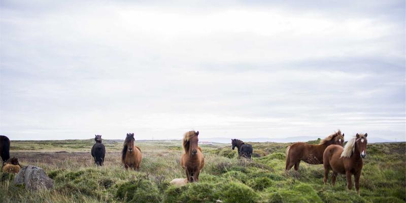 从精密加工到智能工厂：工业设备智能化升级的三大路径与核心技术