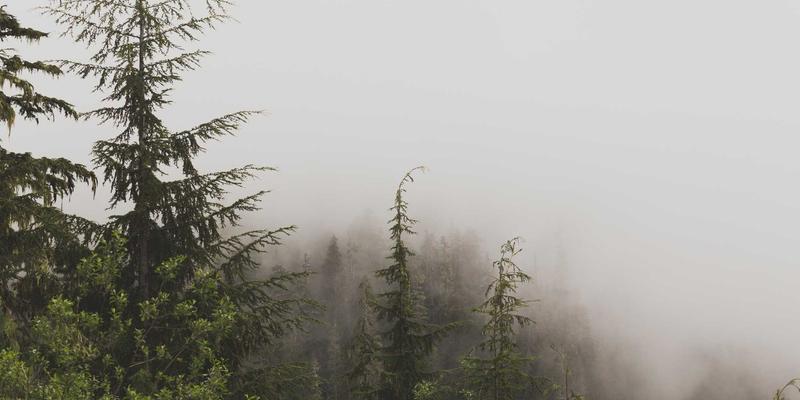 工业设备互联互通基石:深入解读MTConnect协议在数控机床数据采集中的实施