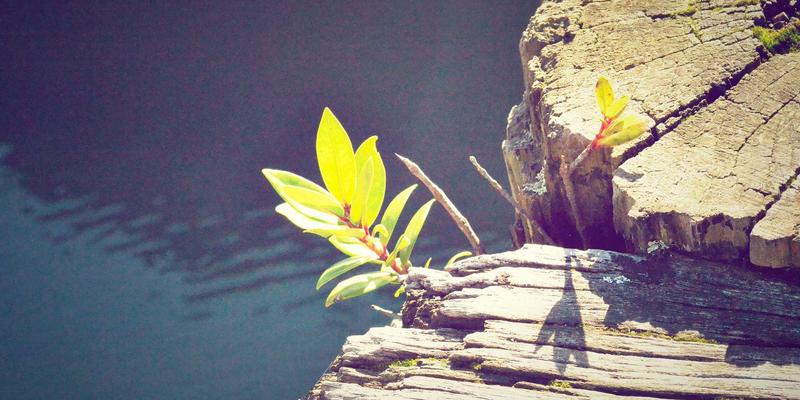 工业设备稳定运行的三大基石:地基、对中与动平衡的工程实践全解析