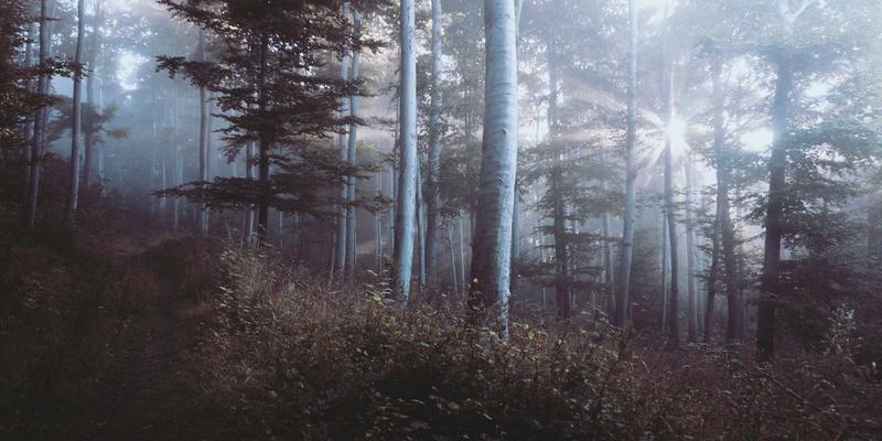 智造之眼:东方帝标引领基于机器视觉的工业设备表面缺陷在线检测革命