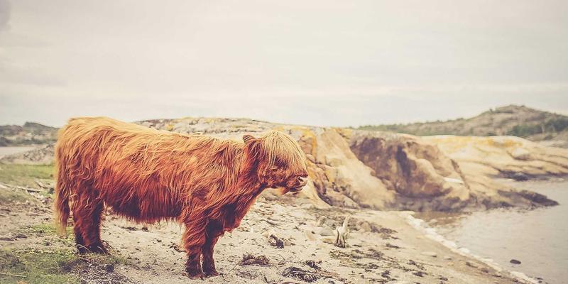 边缘计算赋能工业设备实时数据处理:东方帝标如何实现毫秒响应与云端减负