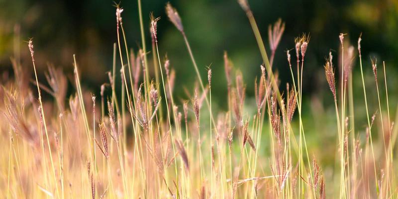 边缘计算赋能智造升级：东方帝标精密加工实时数据处理与本地决策优化策略